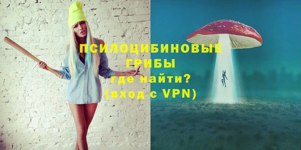 ПСИЛОЦИБИНОВЫЕ ГРИБЫ Алексеевка