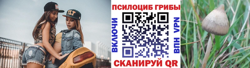 Галлюциногенные грибы Psilocybine cubensis  купить наркотик  Усть-Илимск 