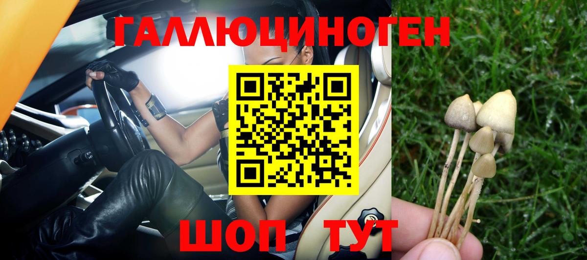 Усть-Илимск  Псилоцибиновые грибы GOLDEN TEACHER  Вход с VPN 